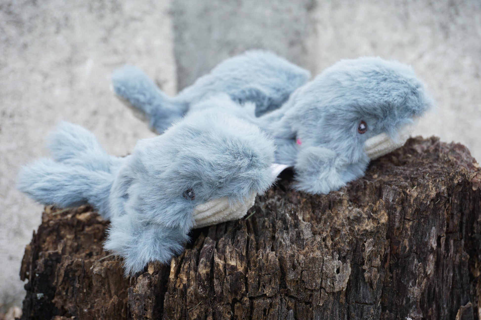 Dog Toy Mobie Whale Wee Huggles Plush Toys Pack for Comfort - size and texture image for dog toy