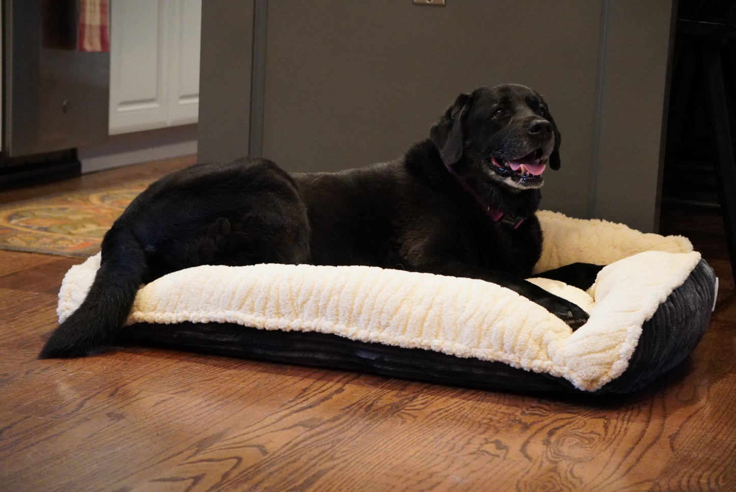 Dog Bed Scout Perfect Bolster Bed for Daily Use for Comfort - gallery product image for dog bed