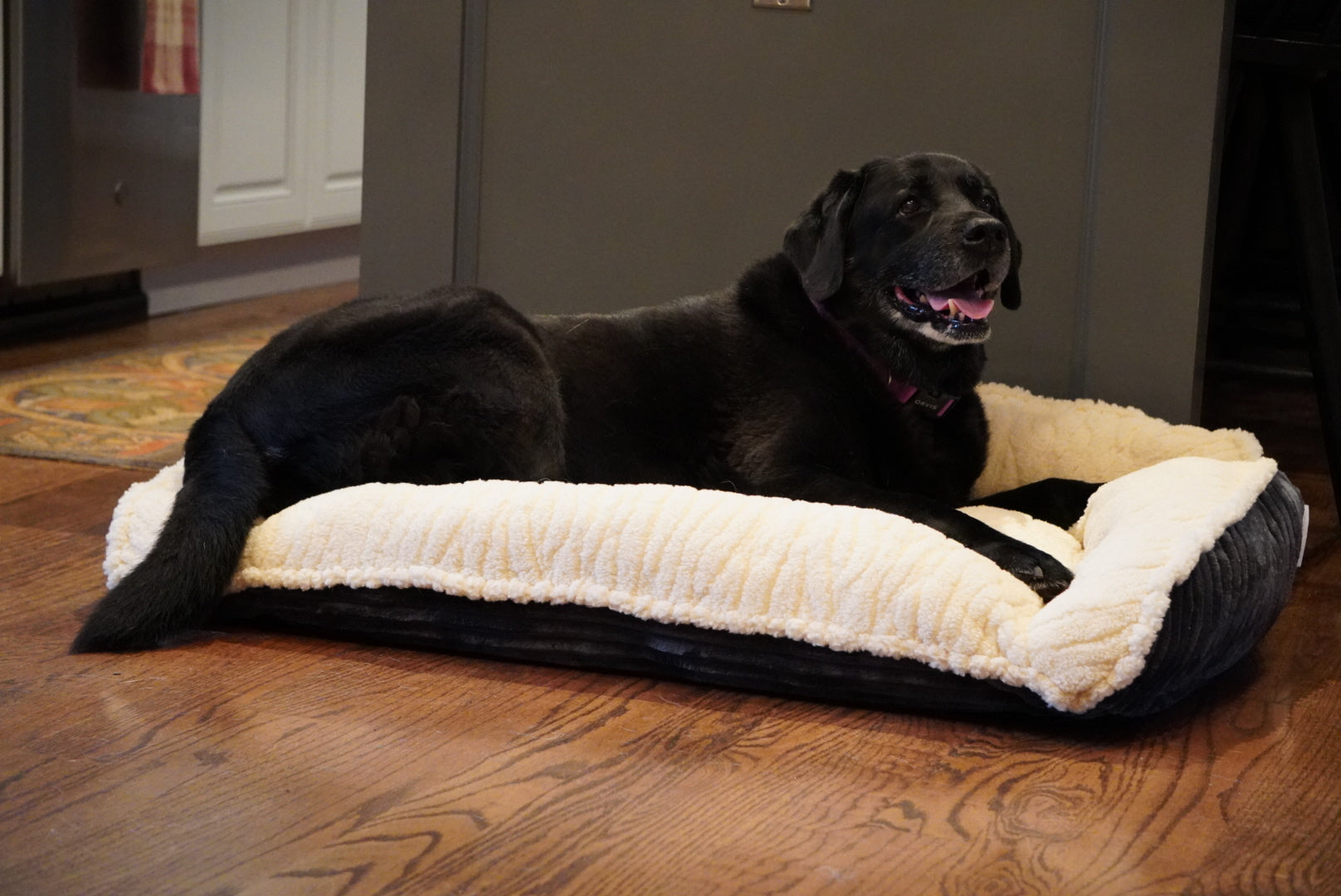 Dog Bed Scout Perfect Bolster Bed for Daily Use for Comfort - gallery product image for dog bed