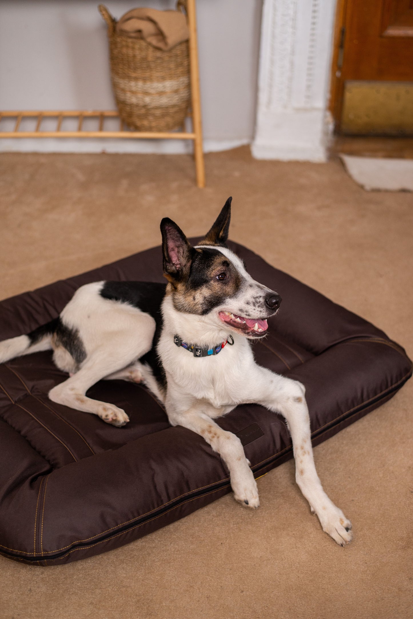Waterproof Lounger Dog Bed Brown
