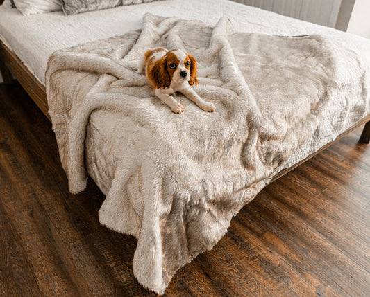 Pupprotector Summer Short Fur Waterproof Throw Blanket With - main product image