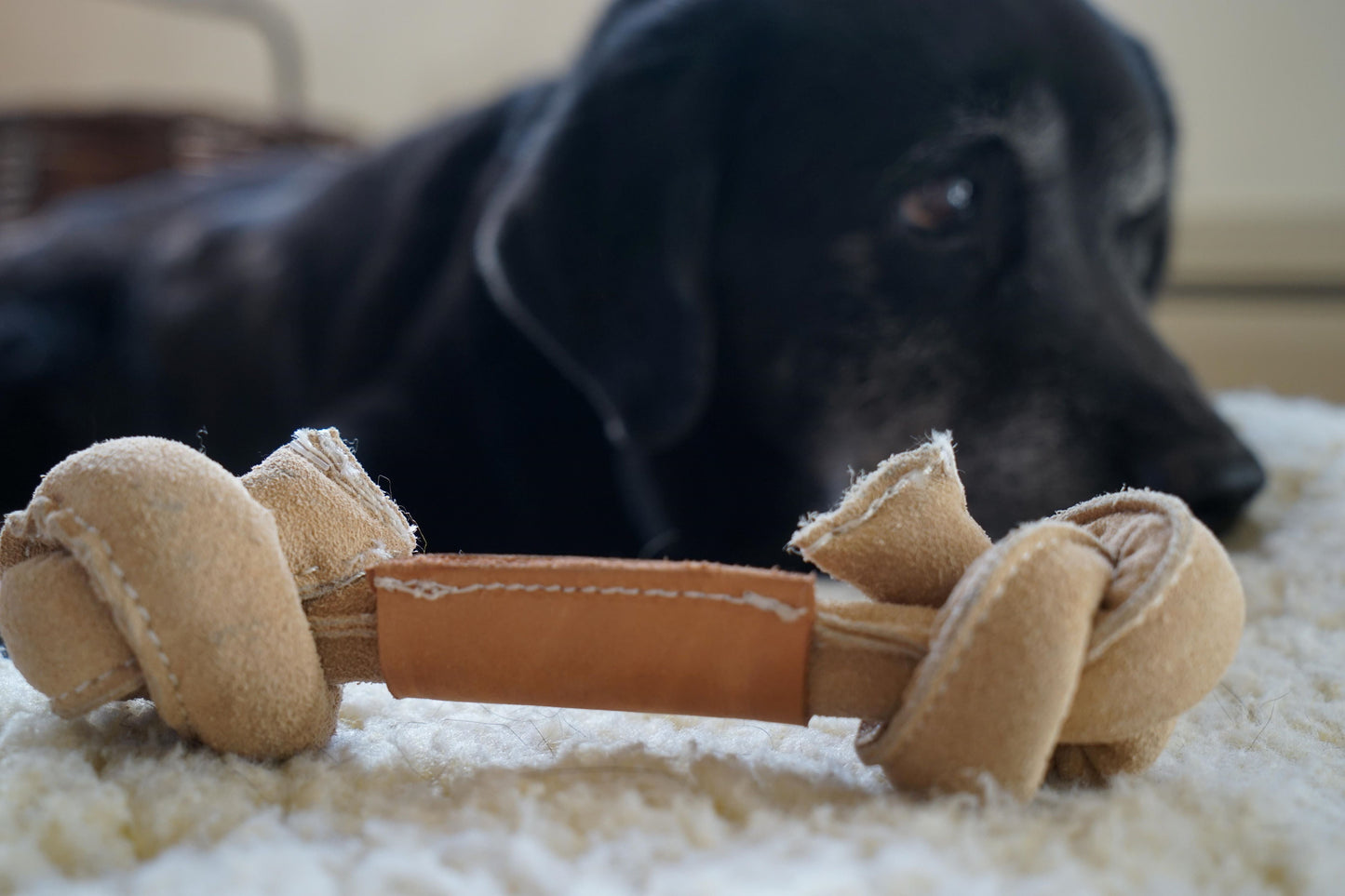Dog Treats Huggle-Hide Natural Leather Bone Toy Pack Essenti - size and texture image for dog treats