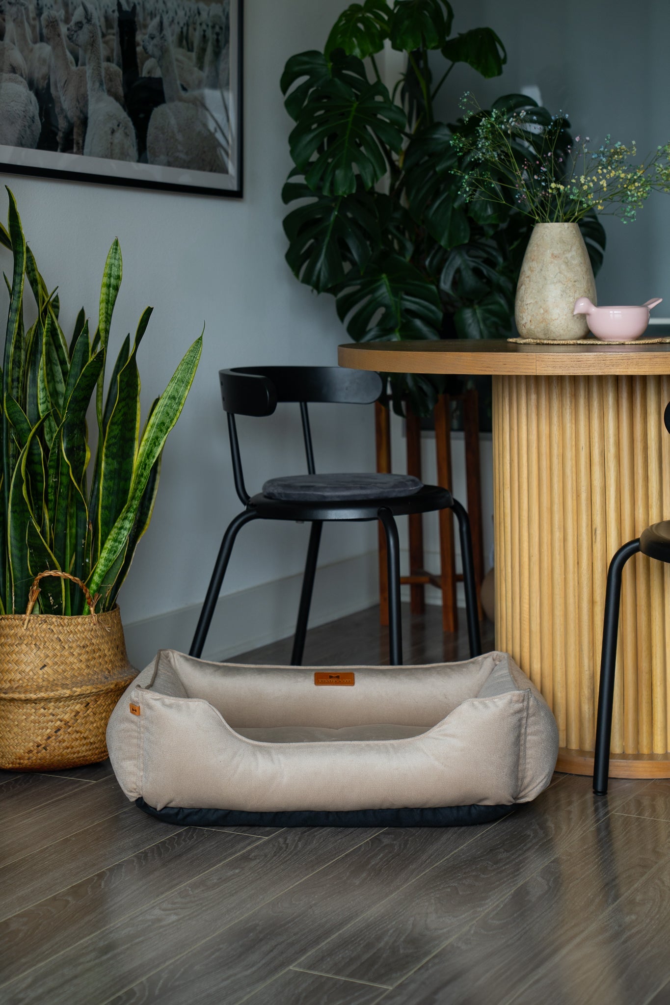 Purrfect Kingdom™ - Beige Velvet Bolster Pet Bed