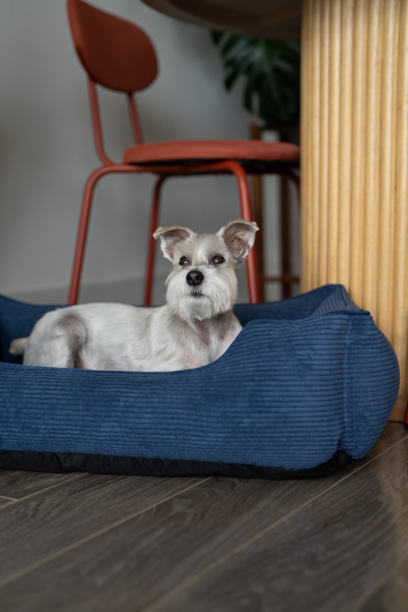 Dog Bed Fancy Corduroy Sleeper