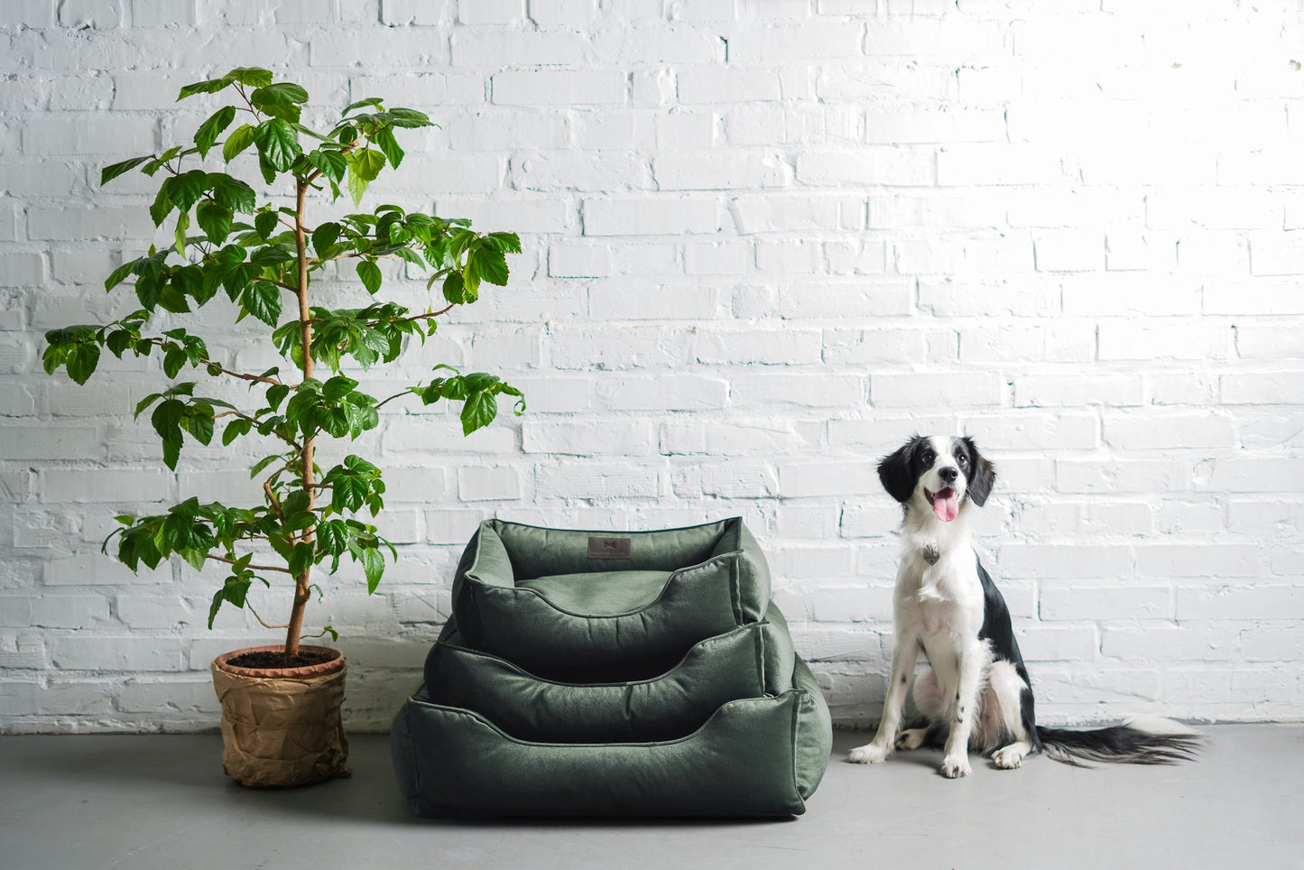 Dog Bed Classic Velvet Sleeper Dog Bed Green
