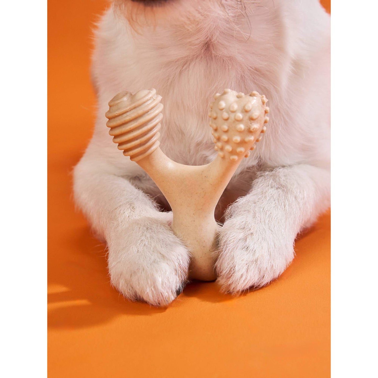 Dog Chew Toy Hard Durable Natural Eco-Friendly 🦴 - Purrfect Pet Kingdom