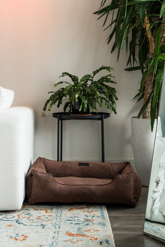 Dog Bed Milk Chocolate Sleeper