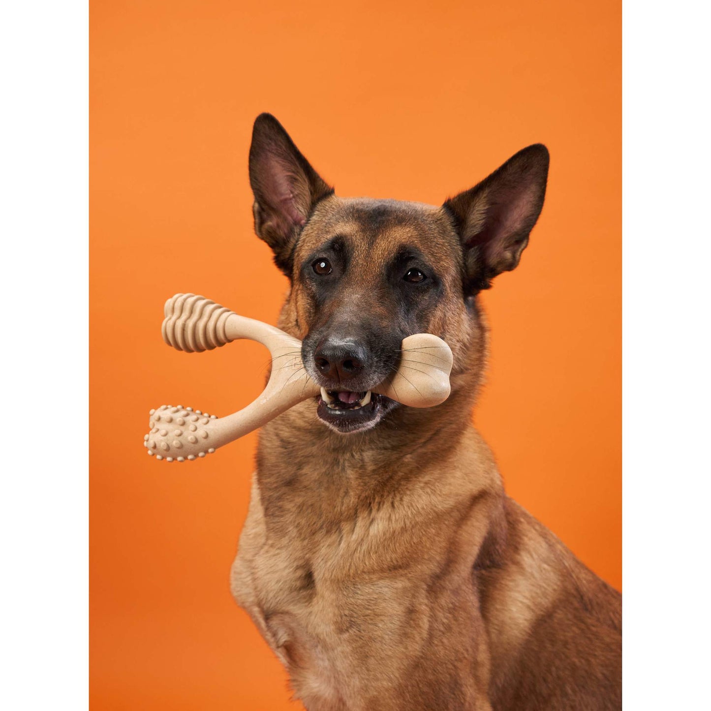 Dog Chew Toy Hard Durable Natural Eco-Friendly 🦴 - Purrfect Pet Kingdom