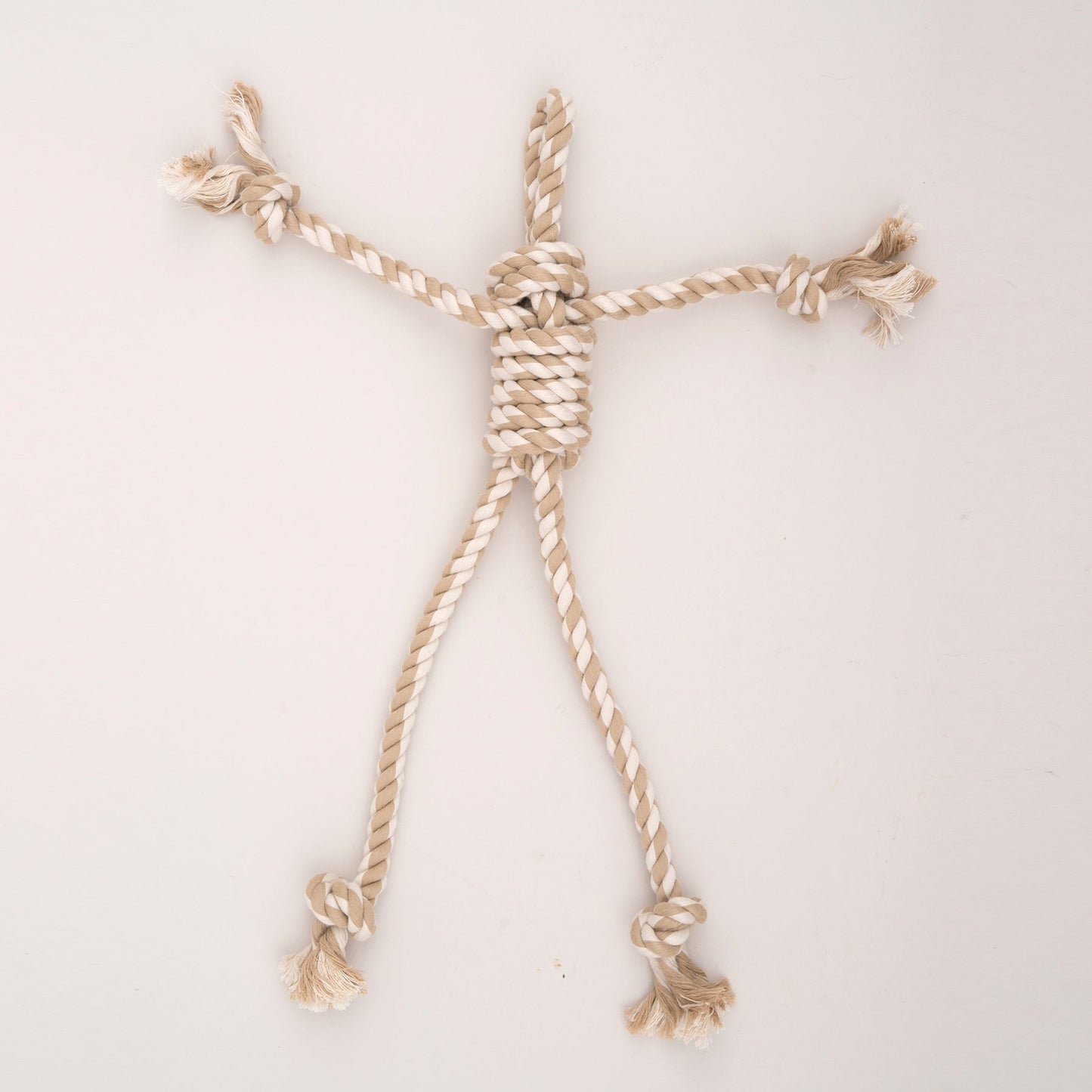 Dog Toys-Birch Bunny X-Brace Durable Squeaky Plush Dog Toy