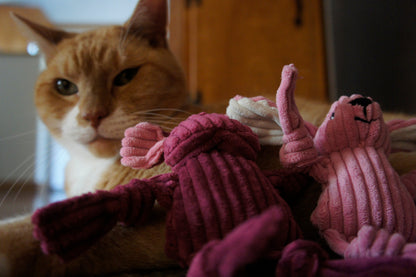 Interactive Organic Woodland HuggleKats Bucket for Cats 55