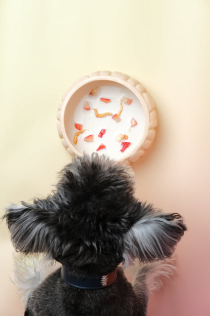 Spill-Proof Ceramic Gradient Dining Bowl for Small Pets