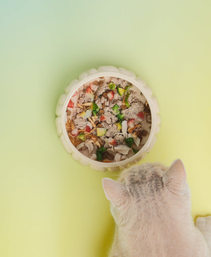 Spill-Proof Gradient Resin Dining Bowl for Small Pet Cats