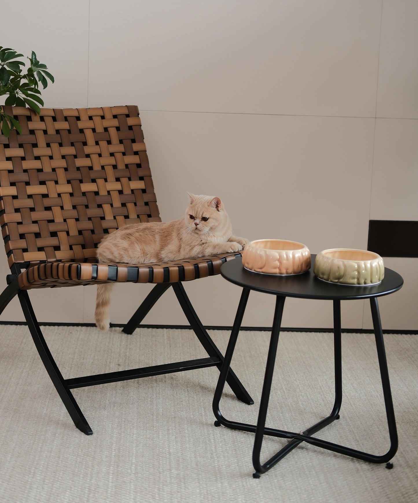 Spill-Proof Ceramic Gradient Dining Bowl for Small Pets