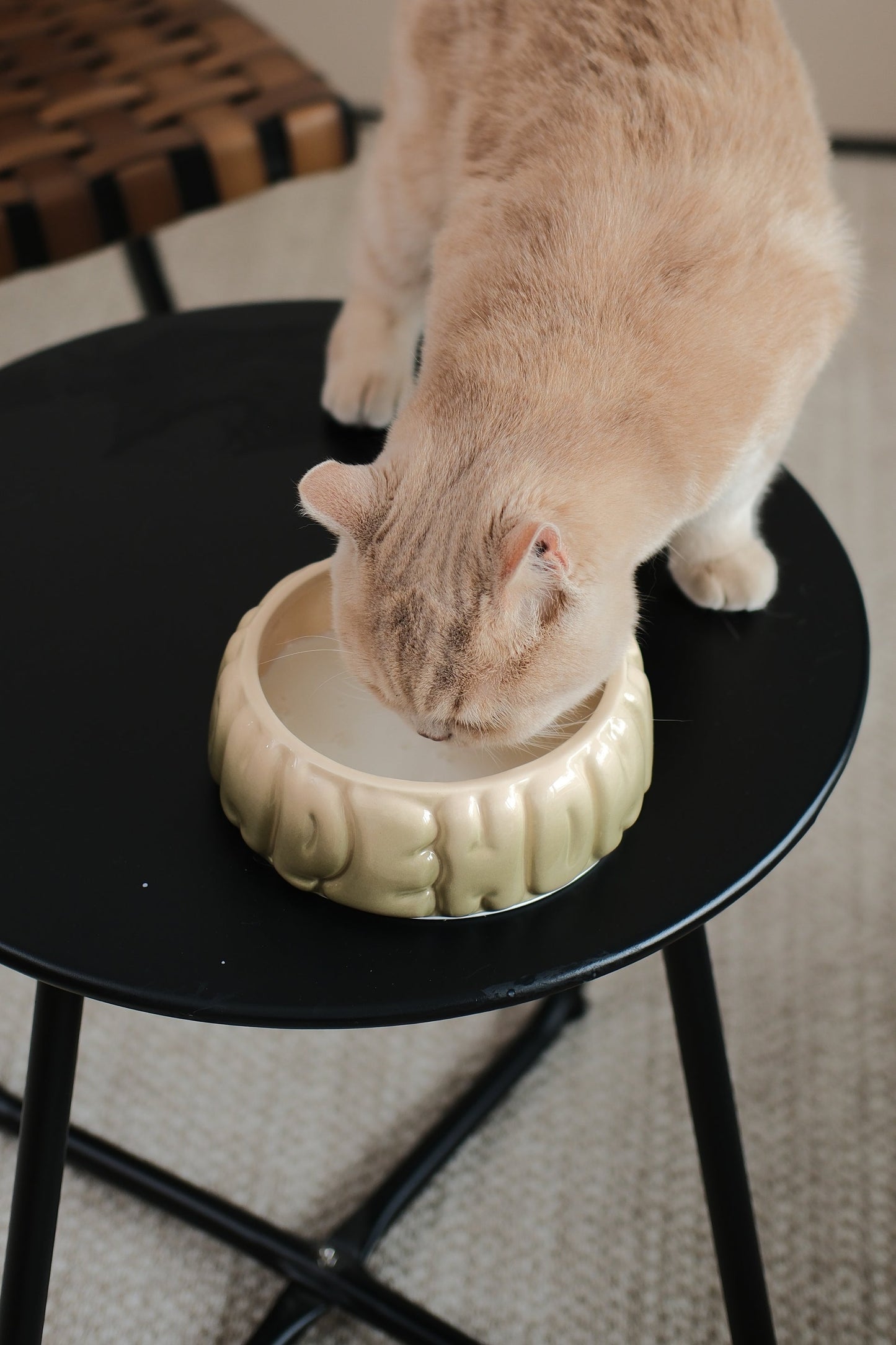 pehomnyc Puff Pet Bowl in Gradient Olive. Glossy ceramic pet bowl with puffy, ridged texture, shown with a cat.