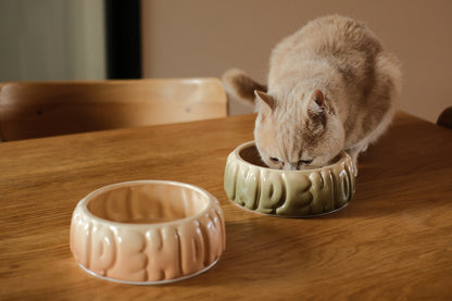 Spill-Proof Ceramic Gradient Dining Bowl for Small Pets