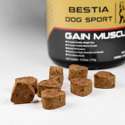 BDS Gain Muscle Dog Food Supplement