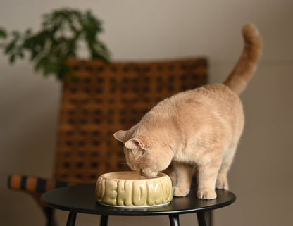 Spill-Proof Gradient Resin Dining Bowl for Small Pet Cats