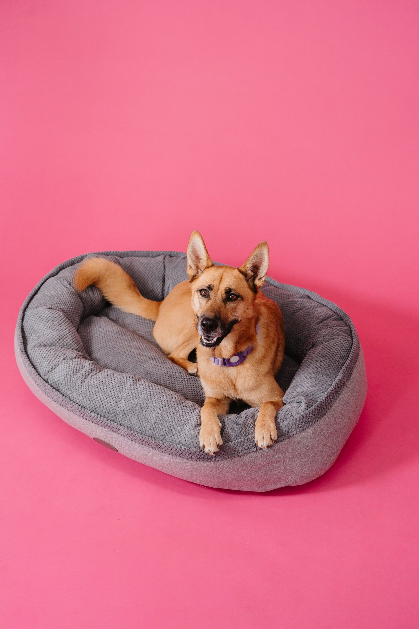 Dog Bed Furry Bagel Shaped Bolster