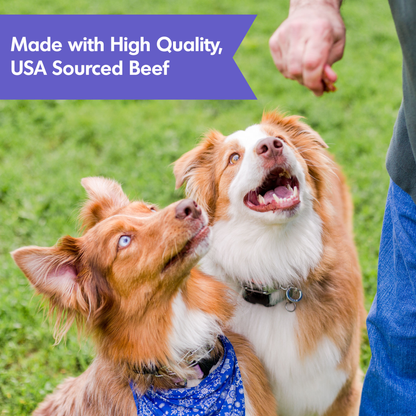 Dog Treats Joint Support - Dogswell Hip Joint Beef 10oz 🦴