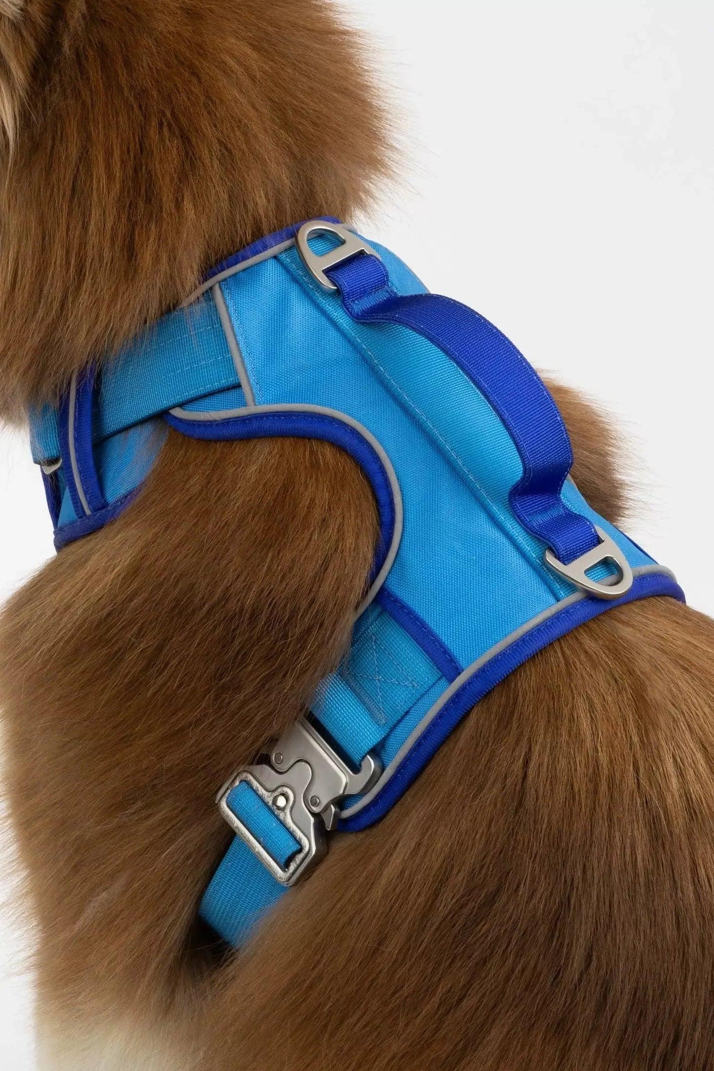 Dockside Adventures Ultimate Harness - Purrfect Pet Kingdom