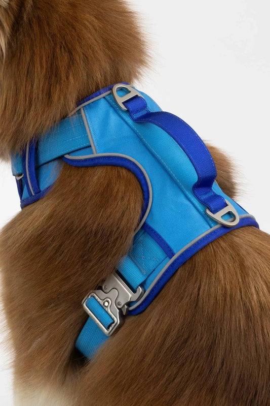 Dockside Adventures Ultimate Harness - Purrfect Pet Kingdom