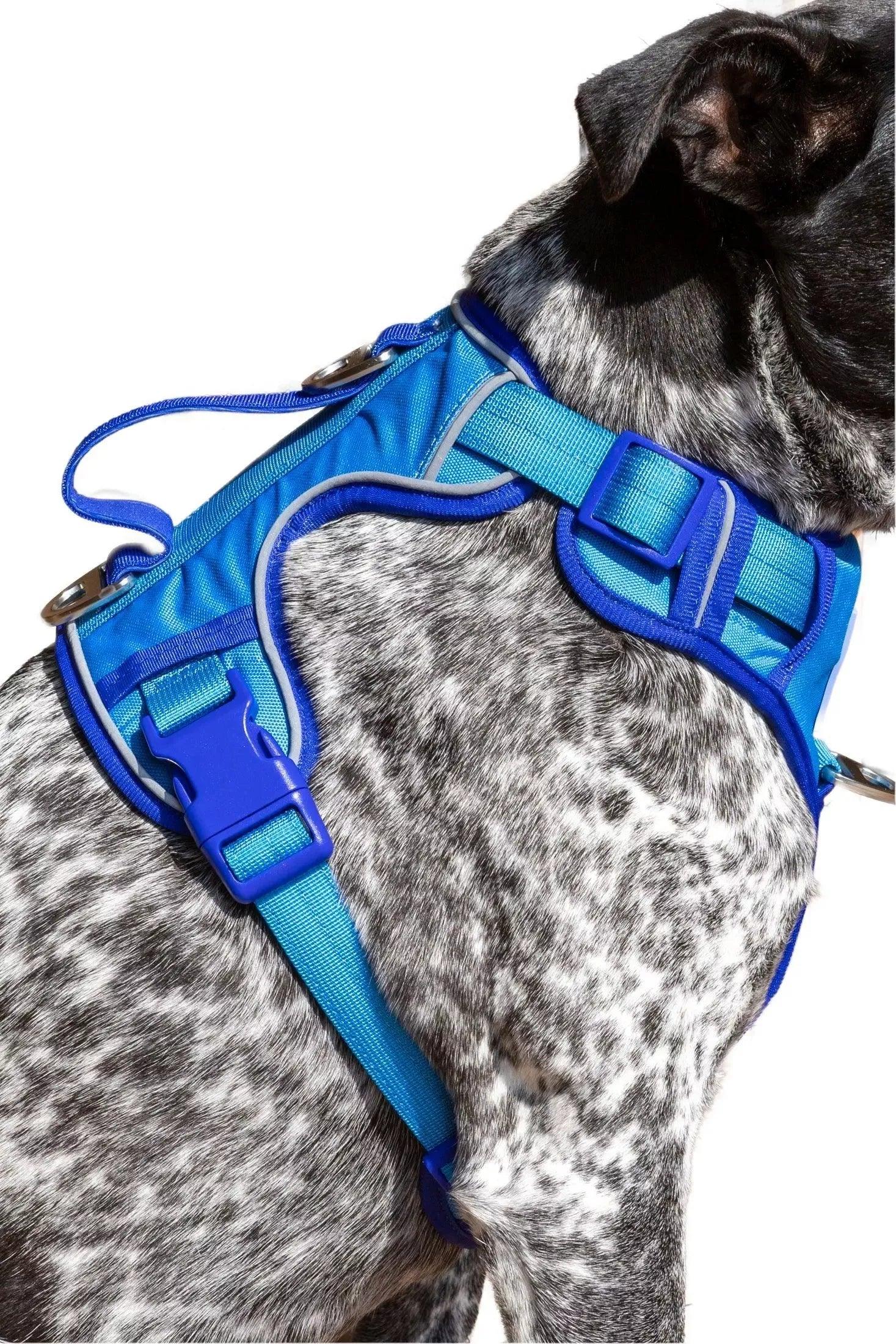 Dockside Adventures Ultimate Harness - Purrfect Pet Kingdom