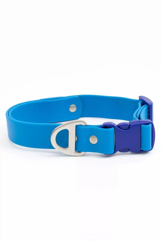 Dockside Adventures Waterproof Dog Collar - Collar - Aria the Fox
