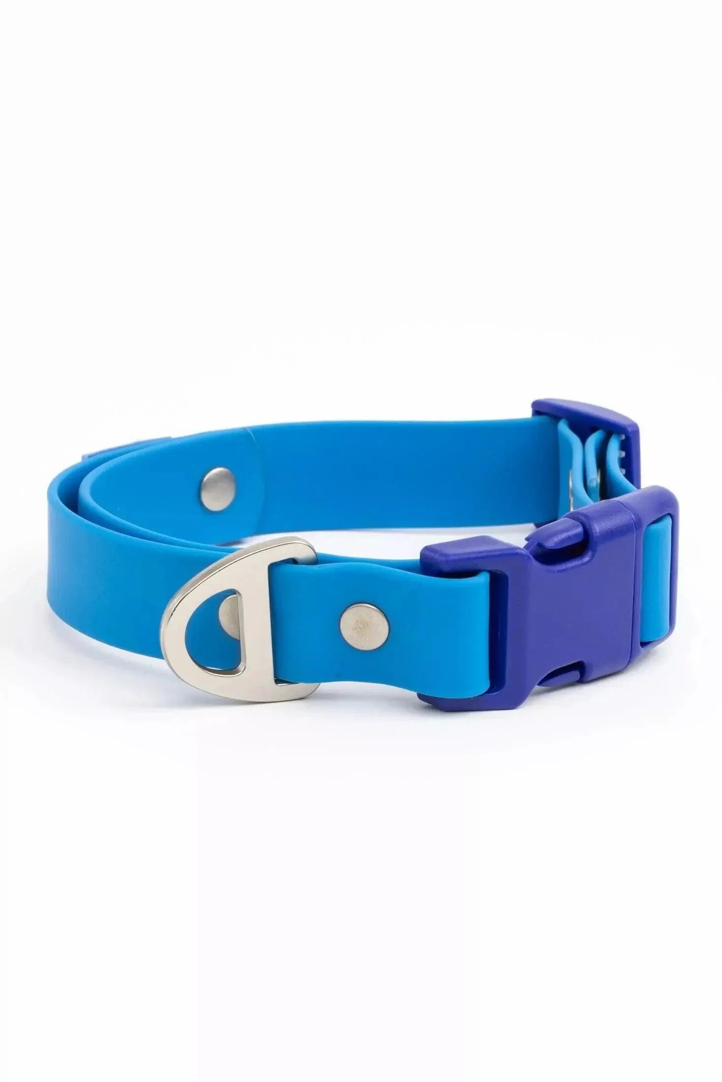 Dockside Adventures Waterproof Dog Collar - Collar - Aria the Fox - Candy Blue / Ultramarine - 11 - 13 - CO24DA01