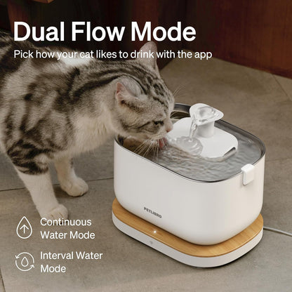 Dockstream Wireless Water Pump App Cat Fountain | Smart Stainless Steel Hydration System with App Tracking