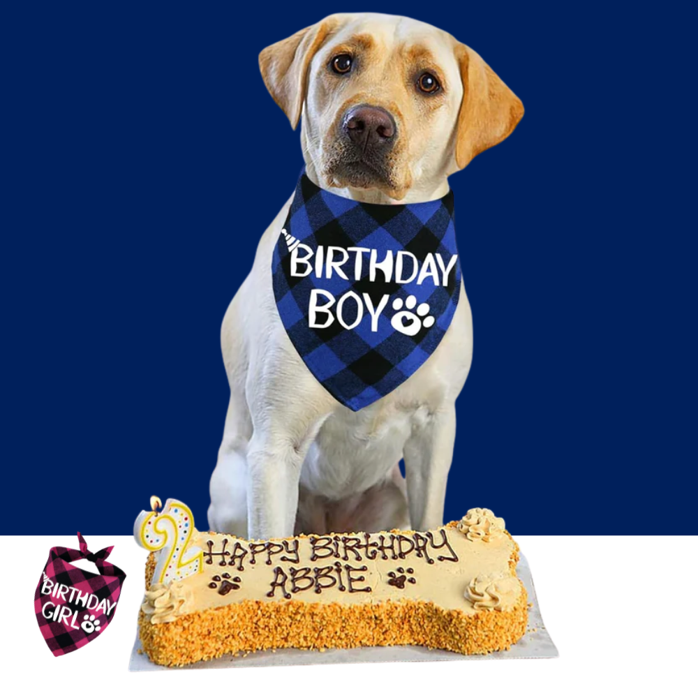 Dog Birthday Bandana Cotton Birthday Boy Scarf