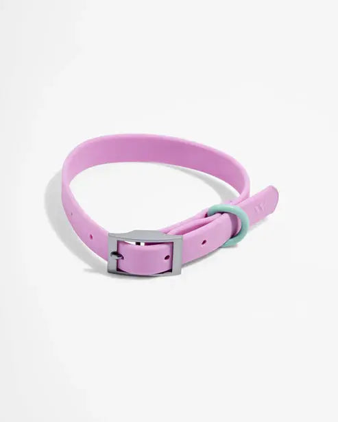 Dog Collar Adjustable Flex Poly Coated Nylon