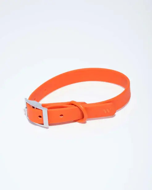 Dog Collar Adjustable Flex Poly Coated Nylon