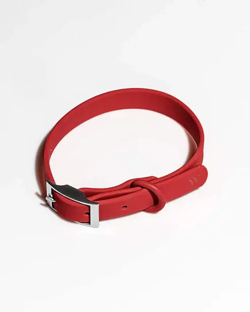 Dog Collar Adjustable Flex Poly Coated Nylon