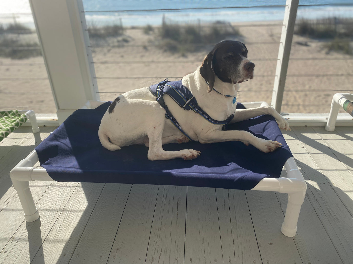 Dog Bed Blue Outdoor Indoor Sunbrella Indigo 🛏️