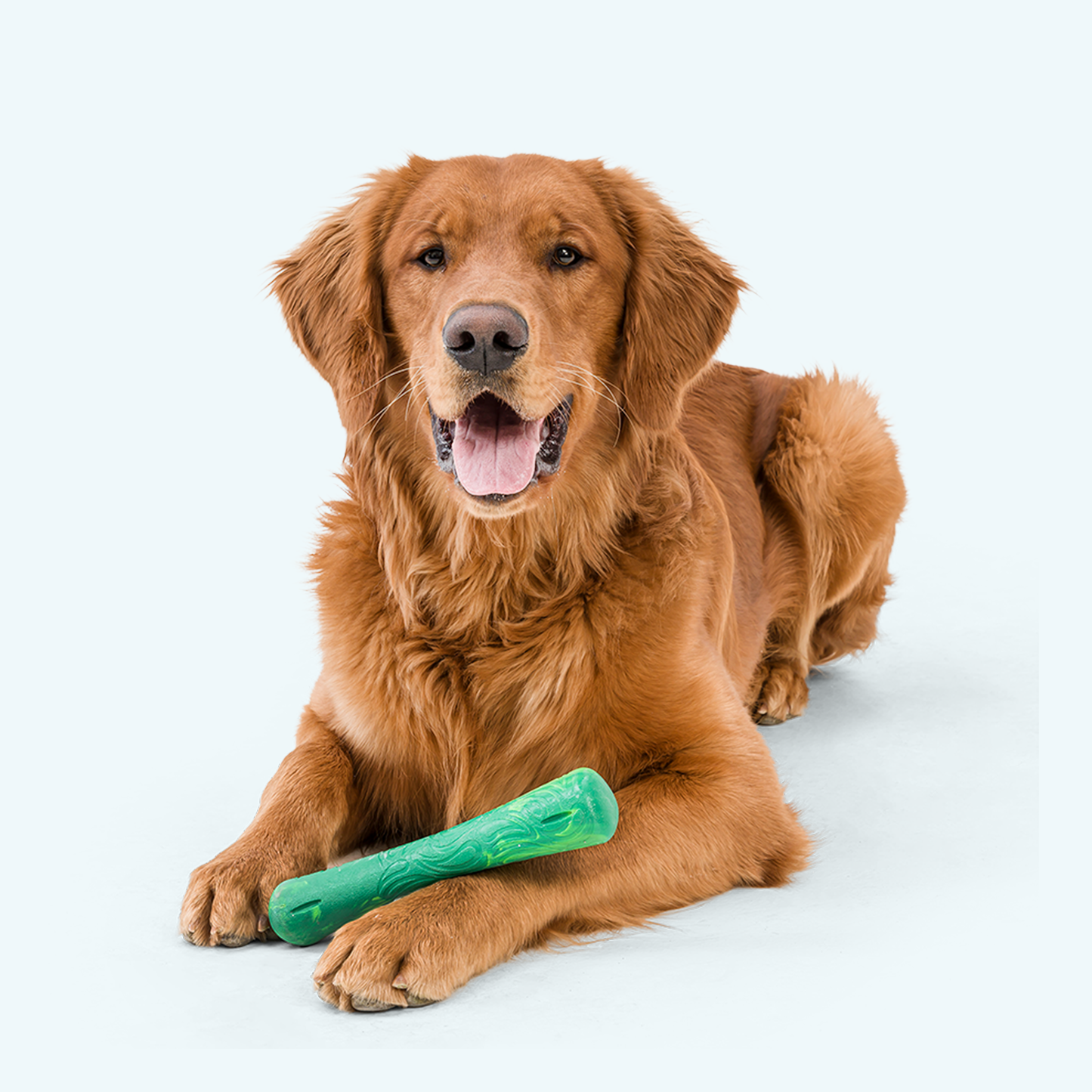 Drifty toy | Purrfect Pet Kingdom