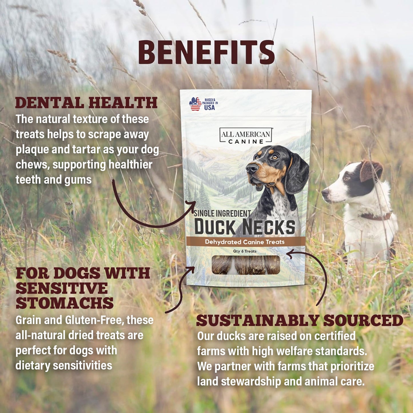 Dehydrated Duck Necks Dog Chews 2.56 Oz 🦆
