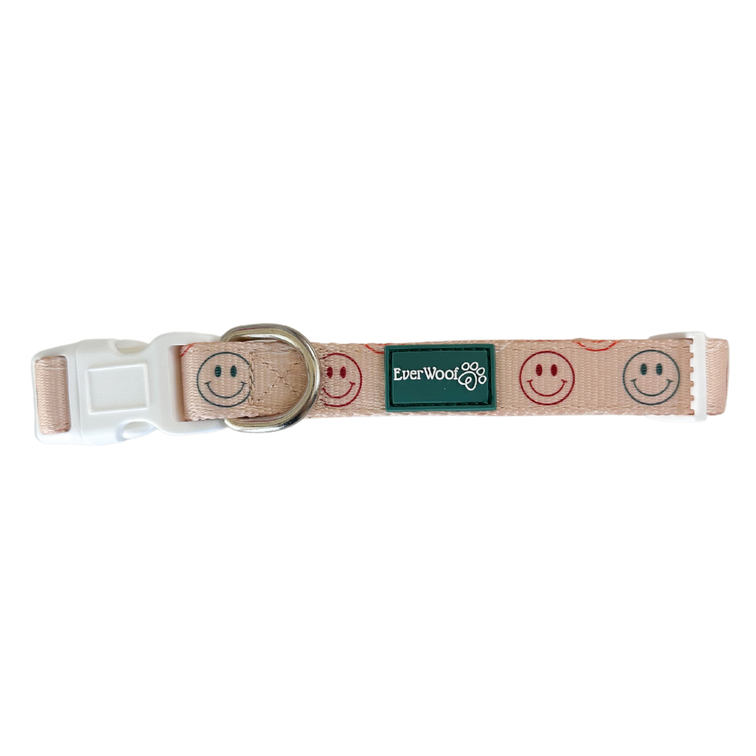 All Smiles Collar Dog Collar | Purrfect Pet Kingdom