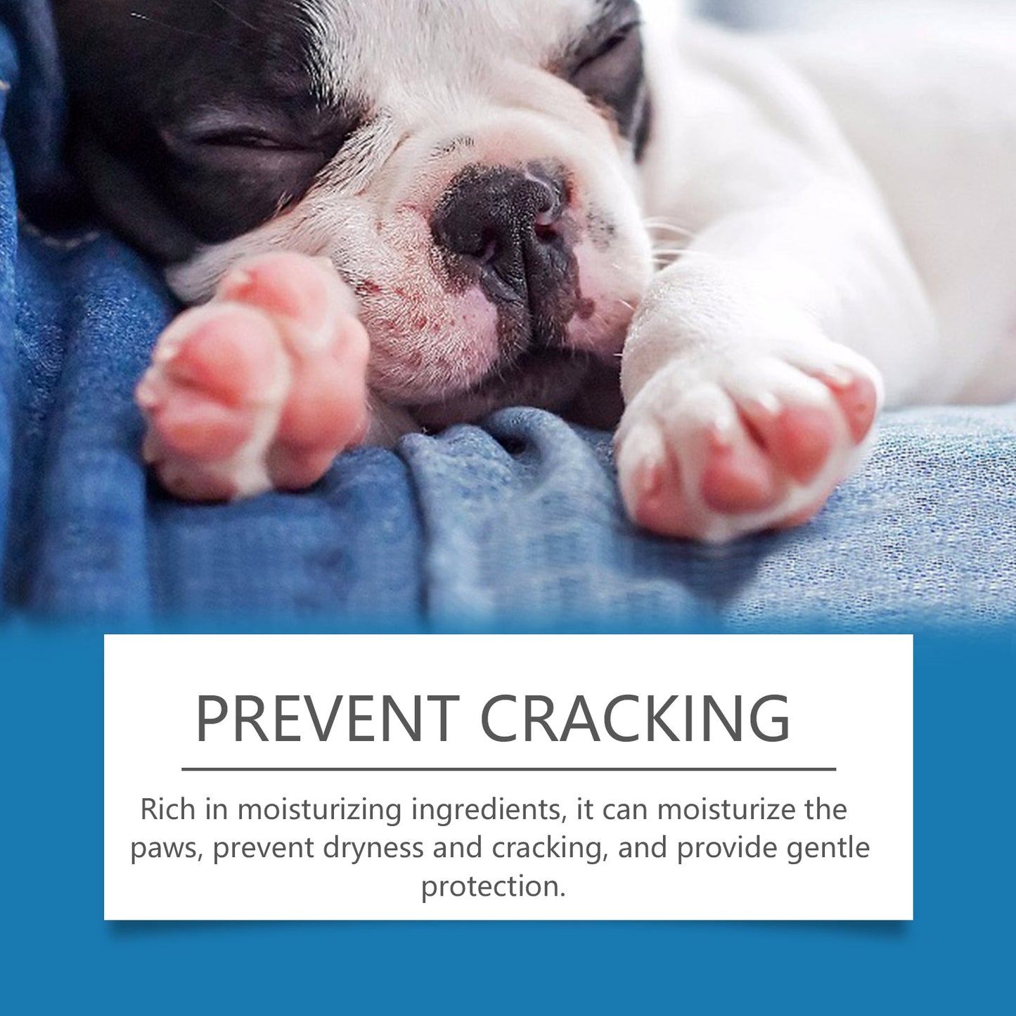 Pet Paw Cleaner Deep Wash Feet For Dogs And Cats Soles And Pads Care Foam - Purrfect Pet Kingdom