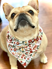 Floral Dog Bandana