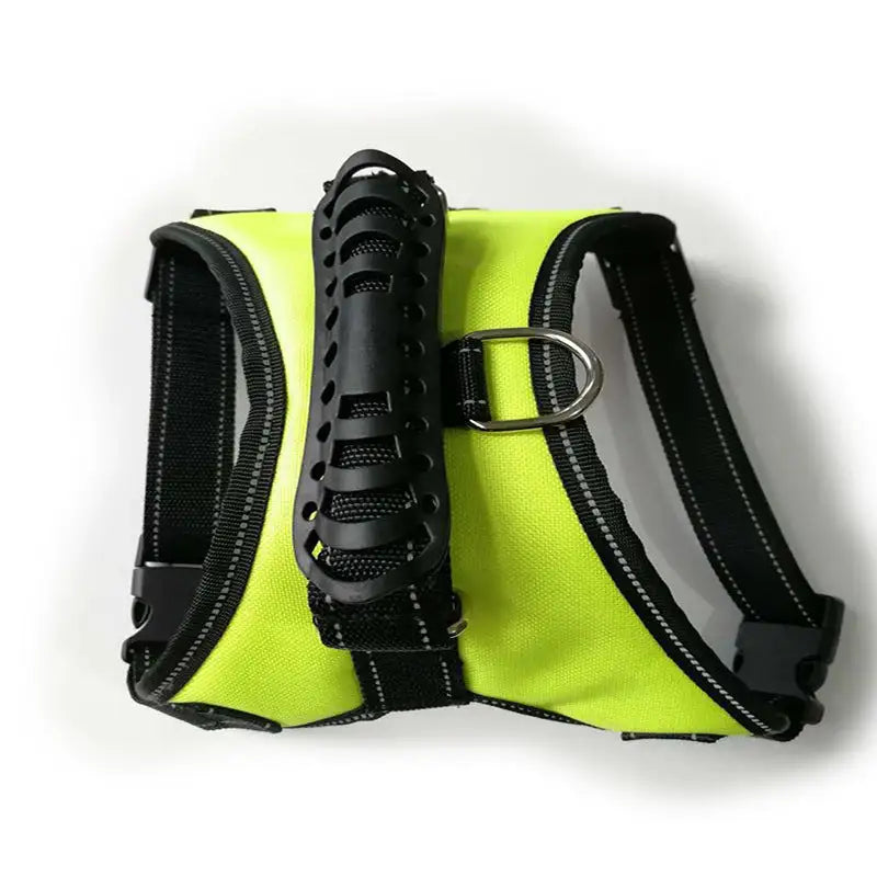 Dog Leashes - Mimarta