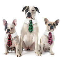 New British style handsome Christmas dog collar Christmas