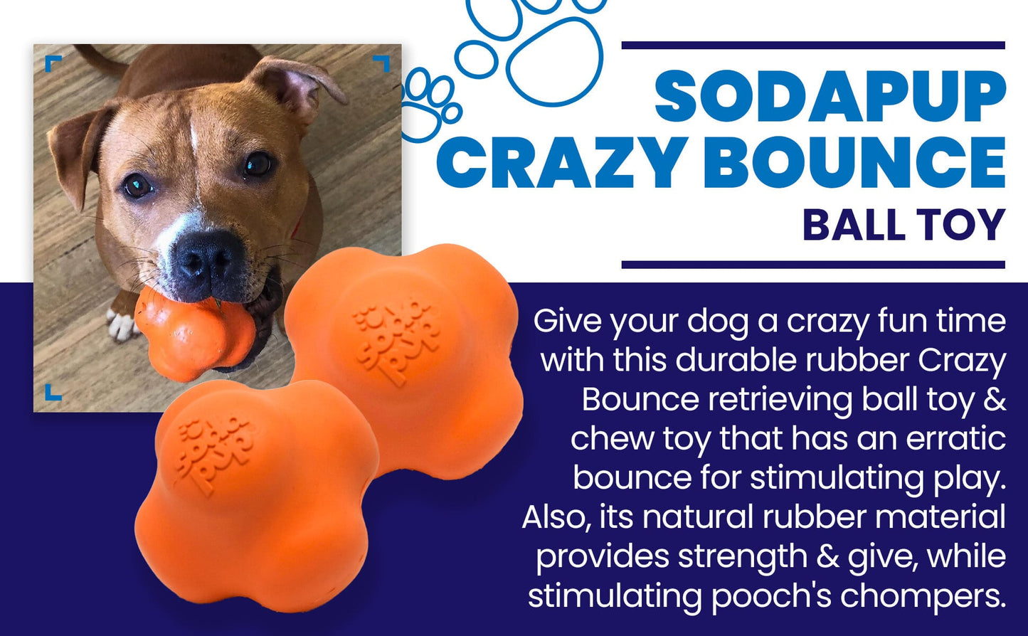 Crazy Bounce Rubber Dog Chew Toy for Power Chewers | Retrieving