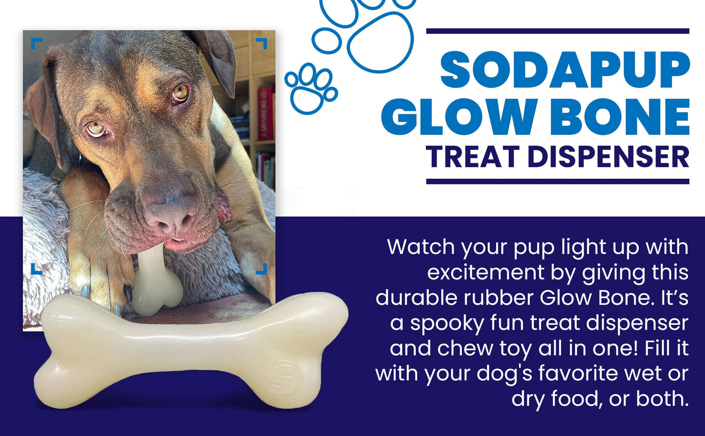 PUP-X Rubber Bone Dog Toy - Durable, Floats, Chew Toy for Large