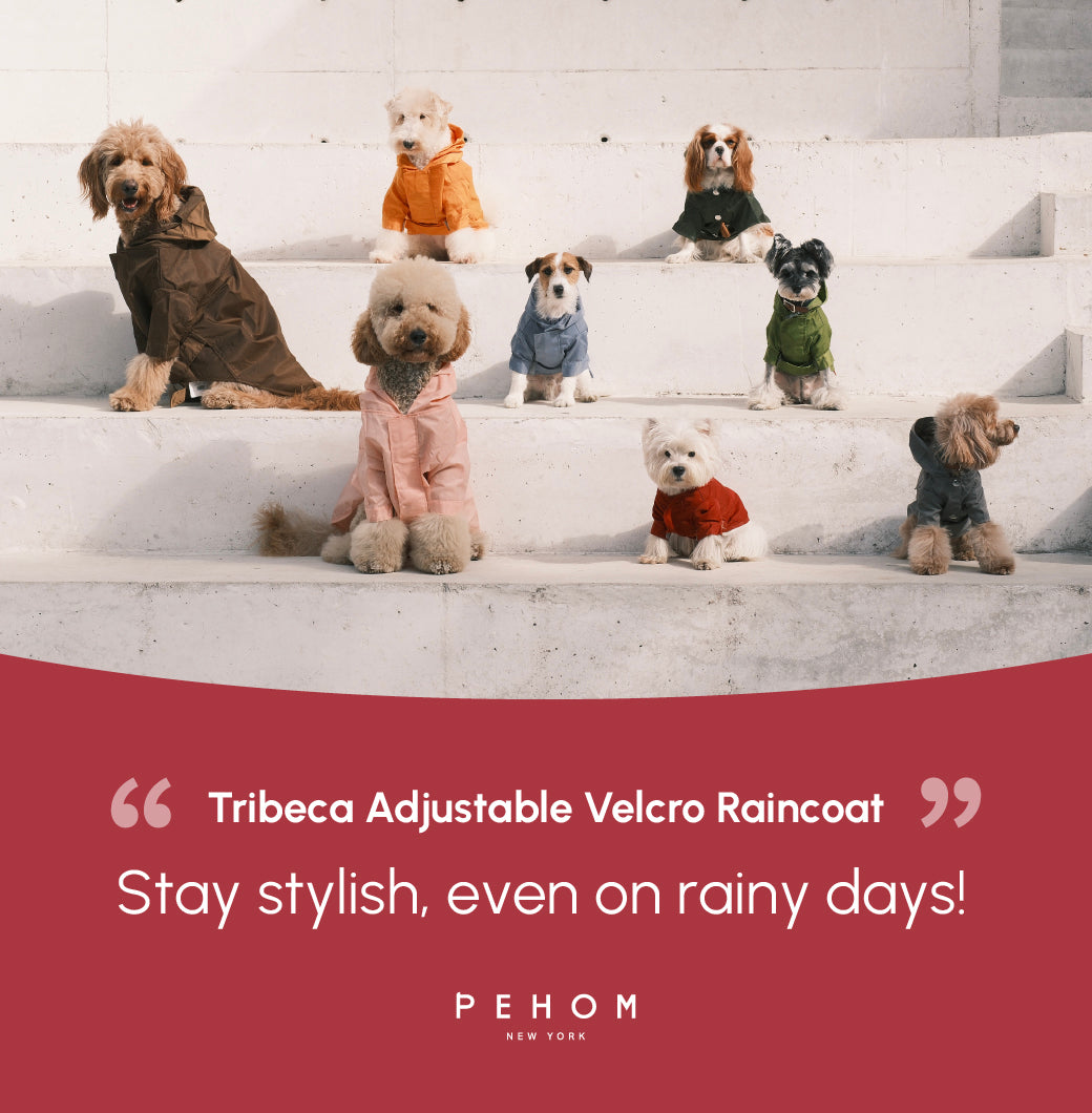 Tribeca adjustable velcro raincoat -  Burgundy