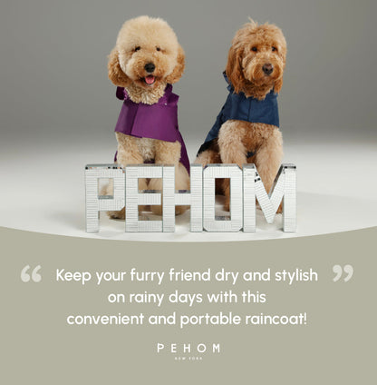 Capsule Raincoat - Beige