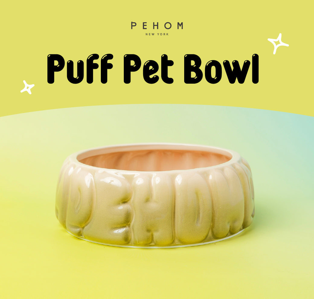 Spill-Proof Gradient Resin Dining Bowl for Small Pet Cats