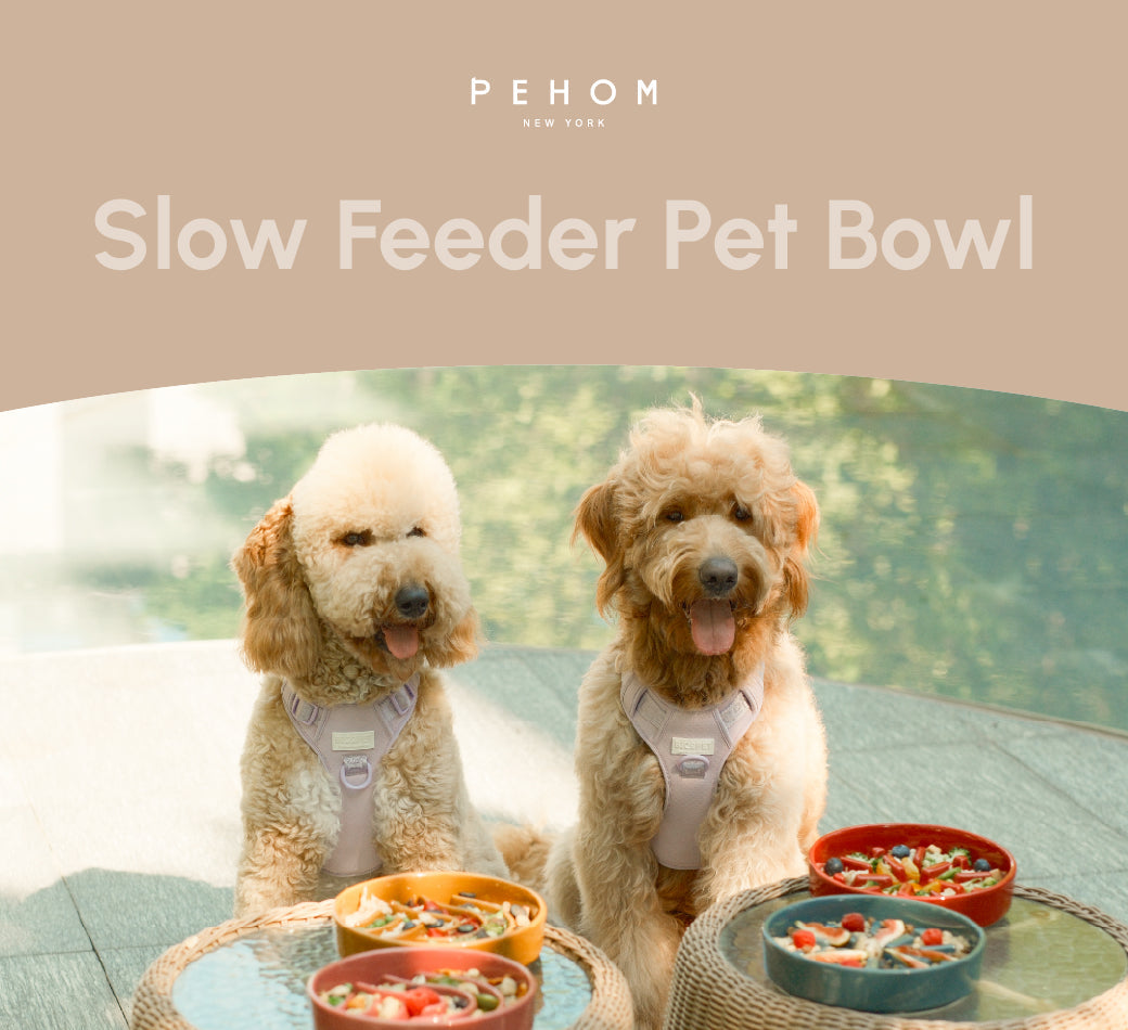Purrfect Kingdom™ - Wave Pet Slow Feeder Bowl Set