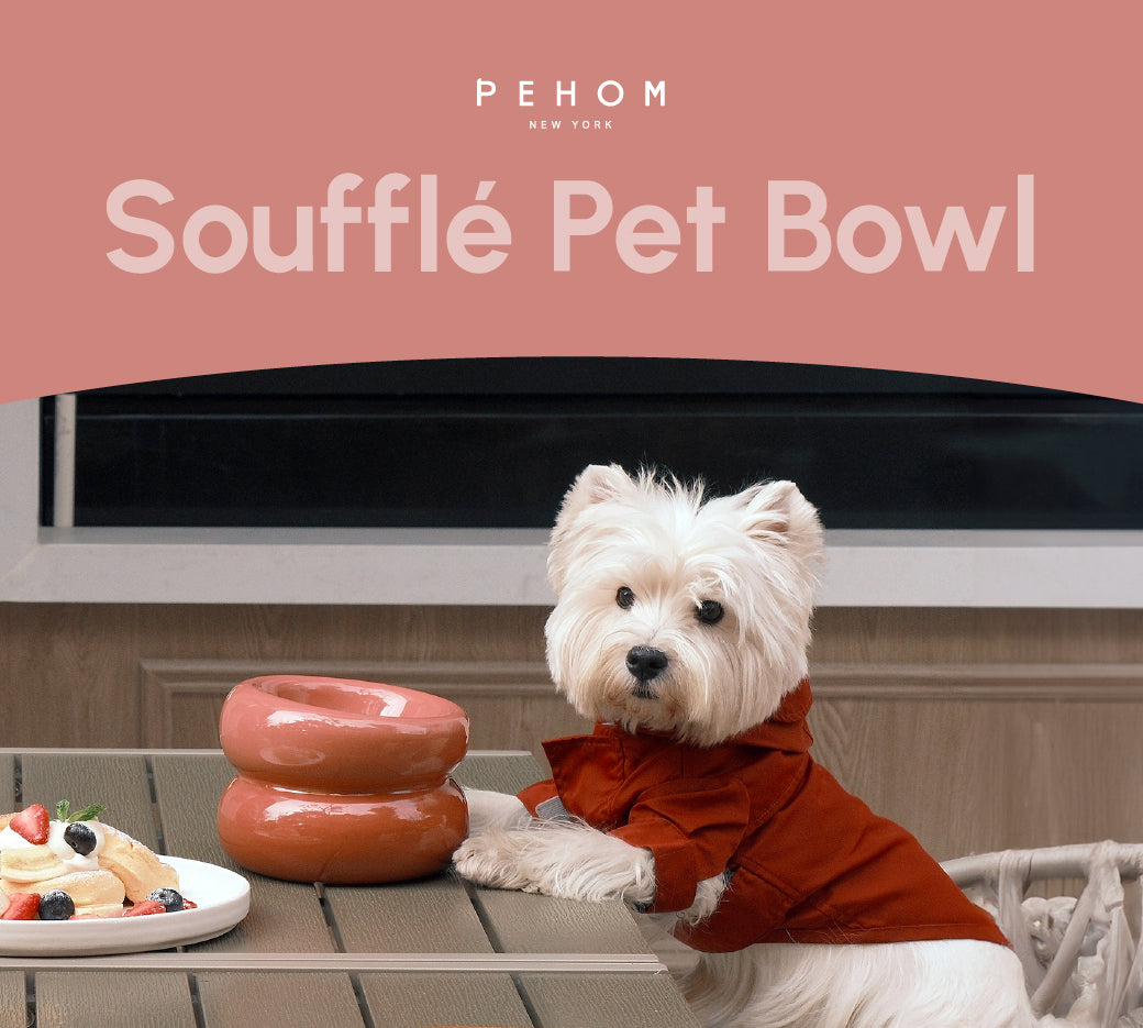 Ergonomic Elevated Pet Bowl for Healthy Daily Meal Feeding