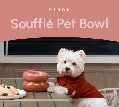 Ergonomic Elevated Pet Bowl for Healthy Daily Meal Feeding