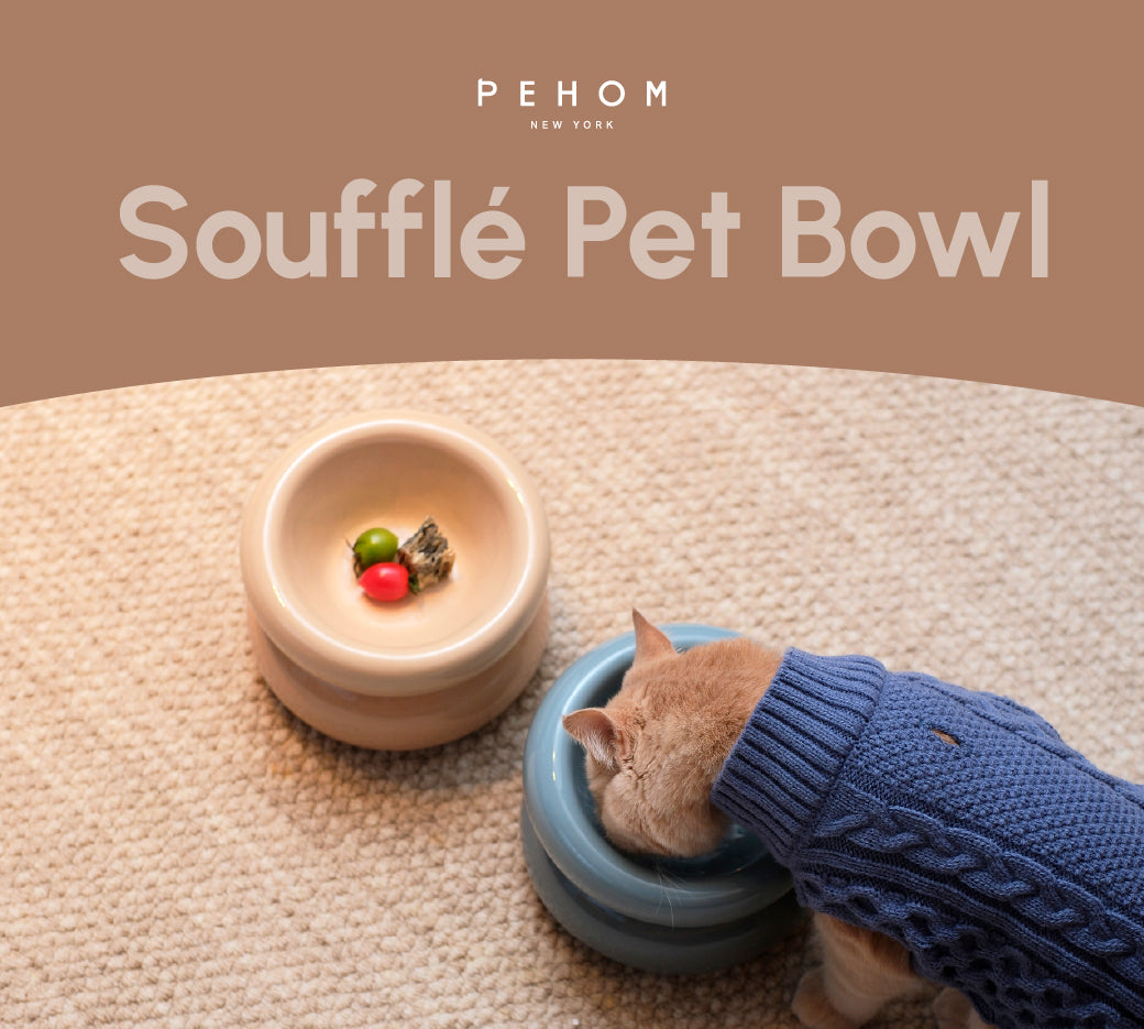 Ergonomic Ceramic Slanted Cat Bowl for Healthy Neck Support